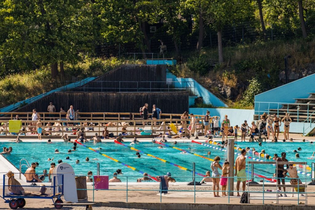 Your Complete Guide to Ocala Public Pool Options in 2026 1 Family Swimming At An Ocala Public Pool During Summer