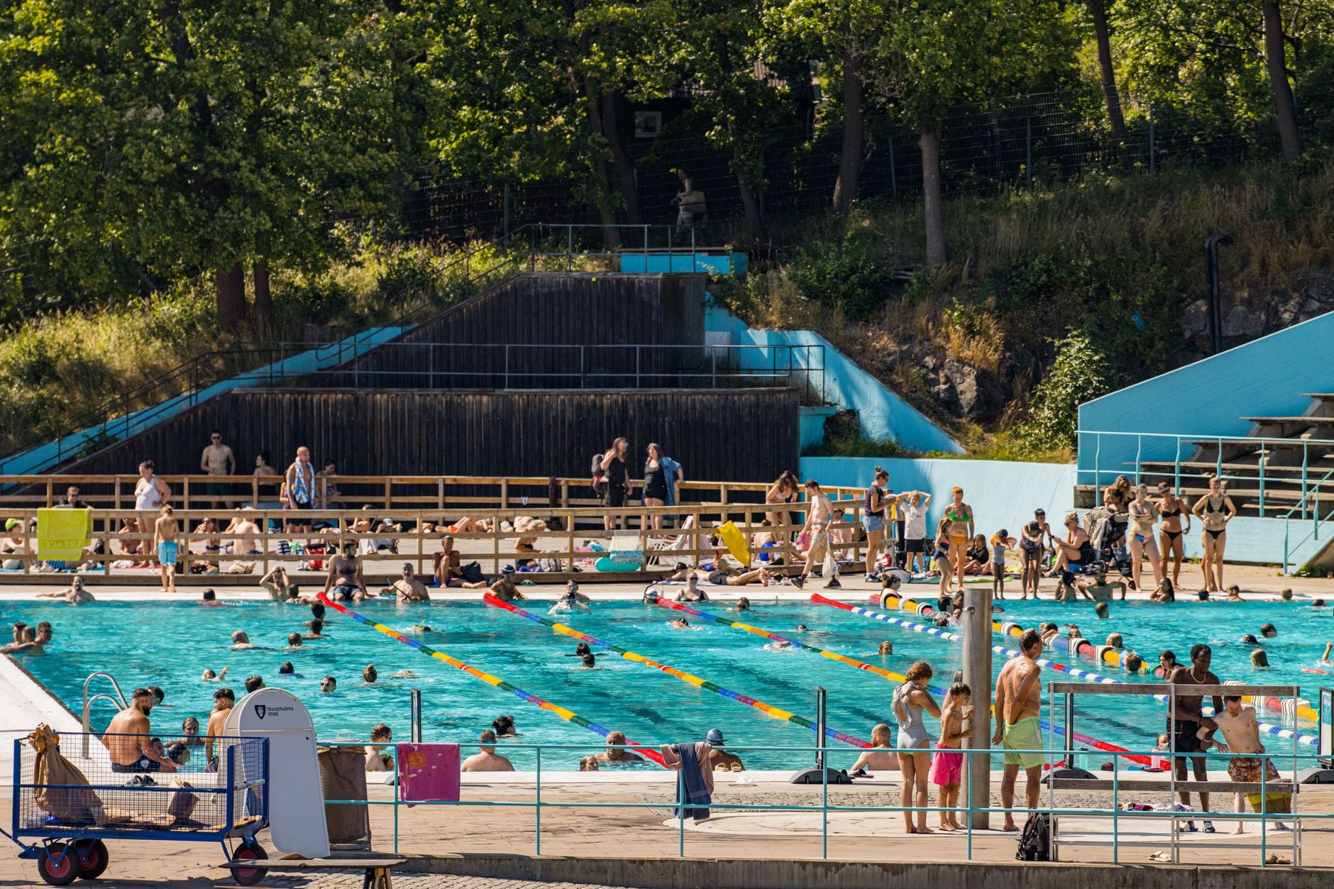 Family Swimming At An Ocala Public Pool During Summer